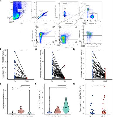 Increased co-expression of 4-1BB with PD-1 on CD8+ tumor-infiltrating lymphocytes is associated with improved prognosis and immunotherapy response in cervical cancer